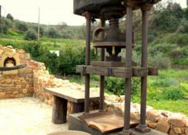 Оливковое масло и вино: опыт Крита