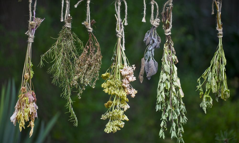 Cretan Herbs  - The Wealth Of Cretan Nature