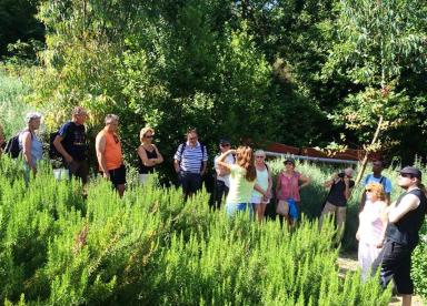 Botanische Park Tour - Damnoni (südlich von Kreta)