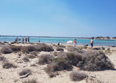 Elafonisi Beach (the pink beach)