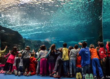 Dinosauria Park - Aquarium - Kindertag