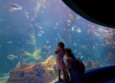 Cretaquarium - Matala hippie beach