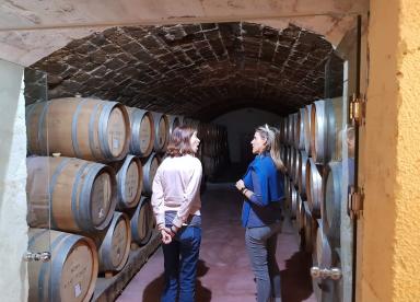 Weinprobe - Touren auf Kreta einzigartige Erlebnisse