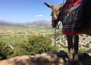 Crete: Zeus Cave, Krasi Traditional Village