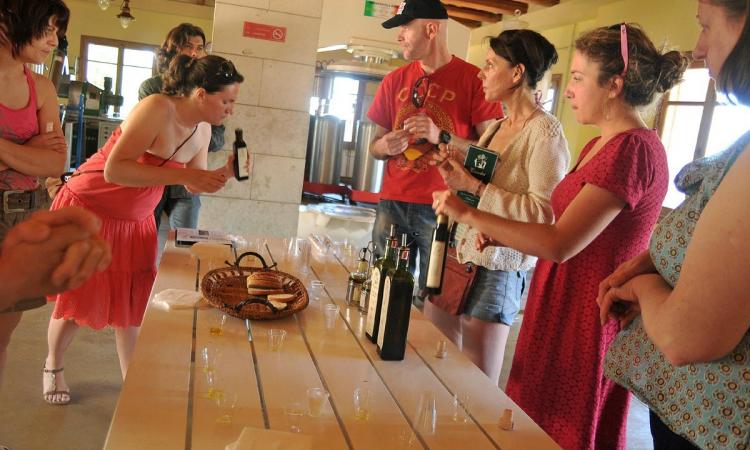 Olive Oil Tasting Crete and Private Tour Knossos
