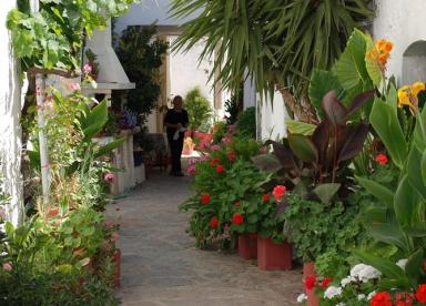 Traditional village , Wooden museum,  Ecotourism village