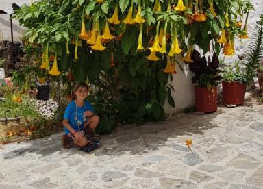 Traditional village , Wooden museum,  Ecotourism village