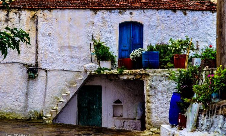 Traditional village , Wooden museum,  Ecotourism village