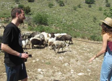 Agrotourism: An Authentic Journey Through Time & Tradition (Chania area)