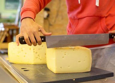 Tour to Olive Oil, Wine, Cheese Tasting 