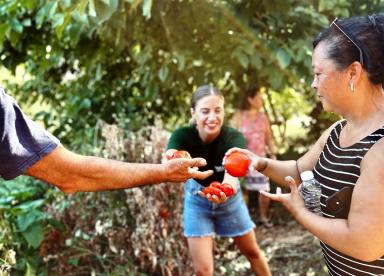 BE A CRETAN FOR A DAY