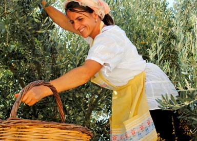 BE A CRETAN FOR A DAY