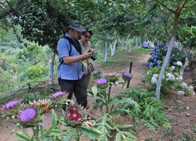 Botanische Park Tour - Damnoni (südlich von Kreta)