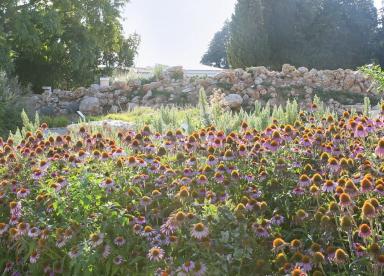 Botanical Park Tour - Damnoni (south of Crete)